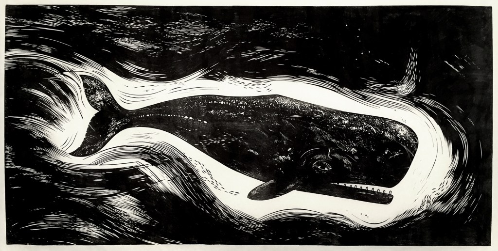 Whale linocut by Nick Morley